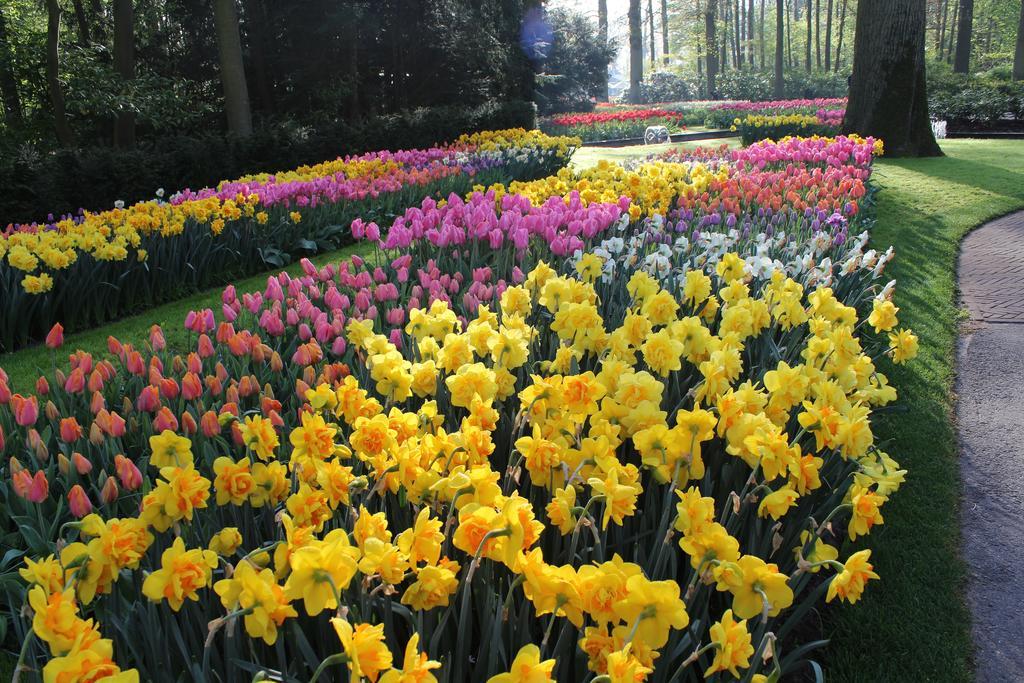 Hofje Maas